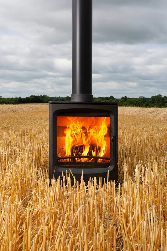 Multi-fuel Stove